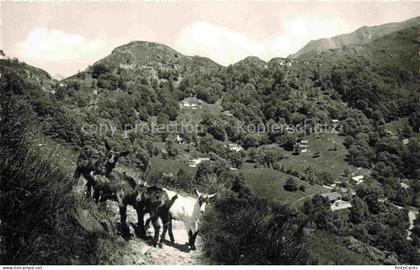 Gola di Lago Capriasca Sala-Capriasca Tesserete Lugano TI Ritrovo Luera