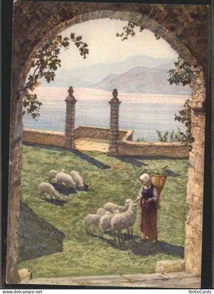 Morcote TI Morcote Schafe