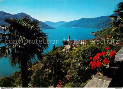 Ronco sopra Ascona Lago Maggiore