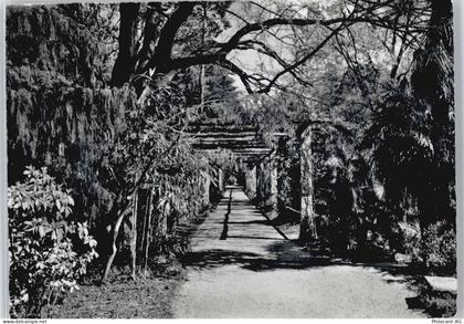 6614 Brissago - Isole di Brissago, Botanischer Garten AKU2 - 50737964