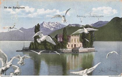 [-20%] SUISSE - Ile de Salagnom - colorisé - pigeons - Carte Postale Ancienne