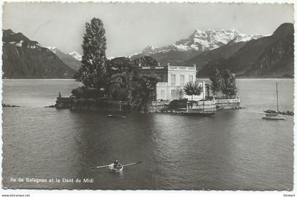 Island of Salagnon, Vintage PC, Lake Geneva-Switzerland, BW Photo, 1948