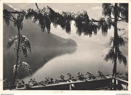 [-15%] SUISSE - Am Luganersee - Lac de Lugano - vue générale - Carte Postale Ancienne