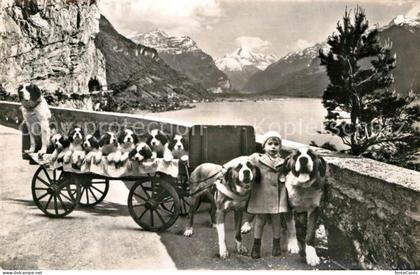 Flueelen UR St Bernhard Zwinger Zwing Uri