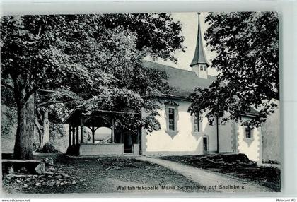 6377 Seelisberg - 10205410