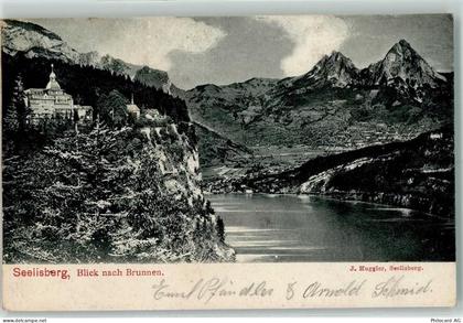 6377 Seelisberg - 10205421