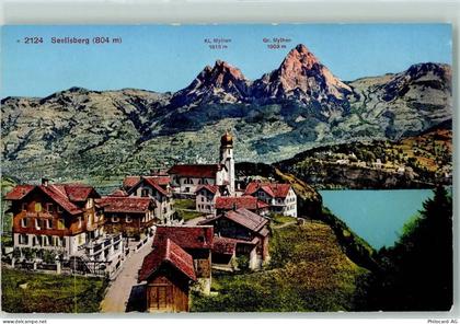 6377 Seelisberg - 10205428