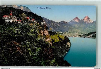 6377 Seelisberg - 10309838