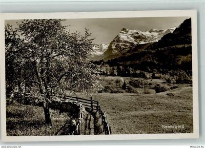 6377 Seelisberg - Baum - 11087855