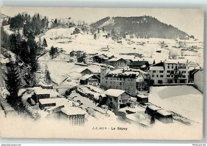 1863 Le Sépey Ormont-Dessous - Winter - 13174809