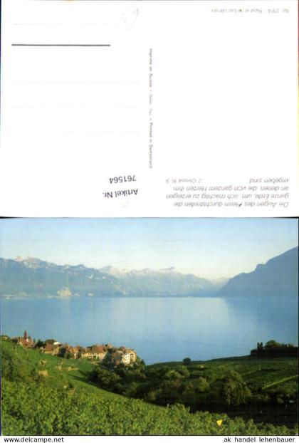 761564 Saint-Saphorin (Lavaux), Genfersee Waadt Switzerland