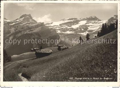 Les Diablerets Diablerets Sommerwiese Berghuetten