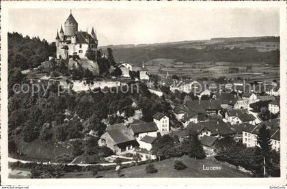 Lucens Chateau Panorama