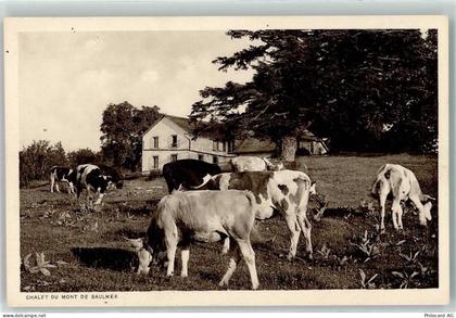1446 Baulmes - Chalet Mont Baulmes Kuhherde - 10607597