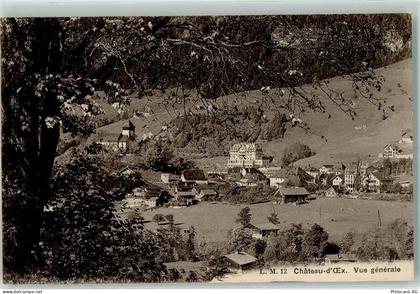 1660 Château-d'Oex - 10205509