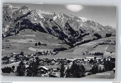 1660 Château-d'Oex - 50811254