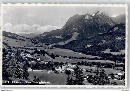 1660 Château-d'Oex - 51796759