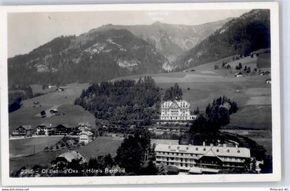 1660 Château-d'Oex - Hotel - 51424210