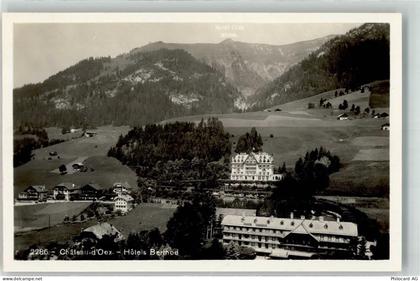 1660 Château-d'Oex - Hotel Berthod - 39694572