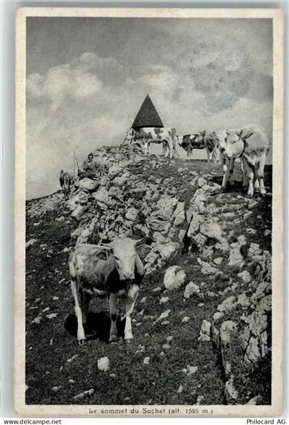 1261 Le Vaud - der Gipfel von Suchet Viehherde - 10596377