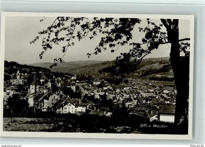 1510 Moudon - Baum - 11061345