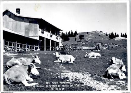 1325 Vaulion - Kuhweide, Chalet-REstaurant - 50799857