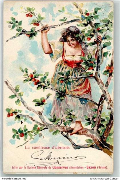 13948148 - Saxon Tovassière