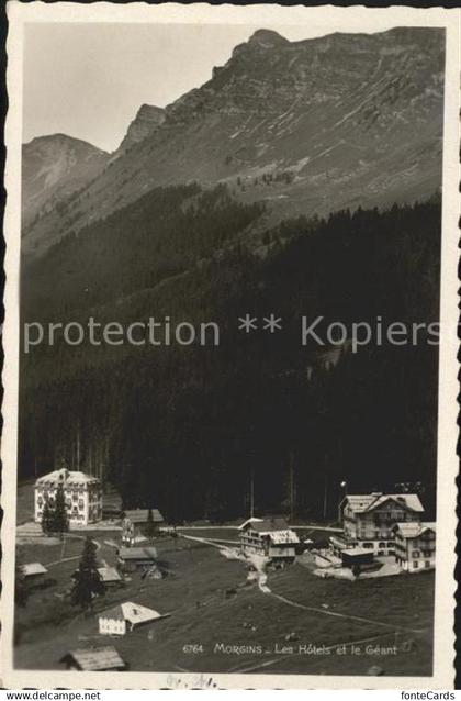 Morgins Hotels