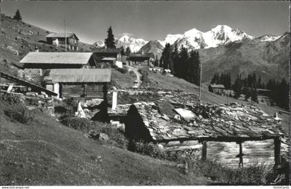 Verbier Calambin