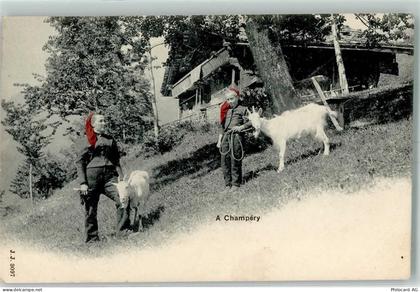 1874 Champéry - Bauernfrauen mit Ziegen - 10396536