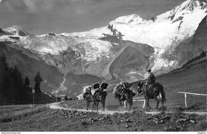 SAAS FEE