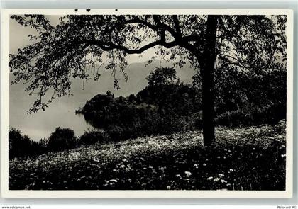 6343 Risch - Kurhaus Waldheim Schloss Buonas - 39495397