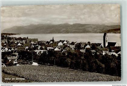39377830 - Meilen