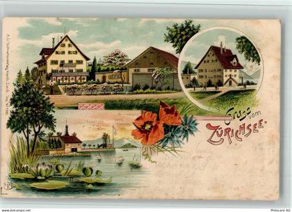 8714 Feldbach BOAKC Zürichsee Rapperswil Lithographie - 13700409