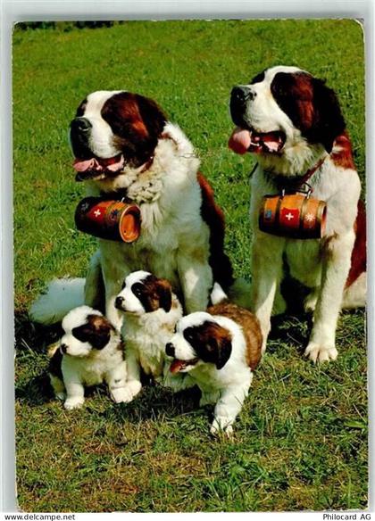 8913 Ottenbach - Bernhardinerhunde mit Fässchen - 39696442