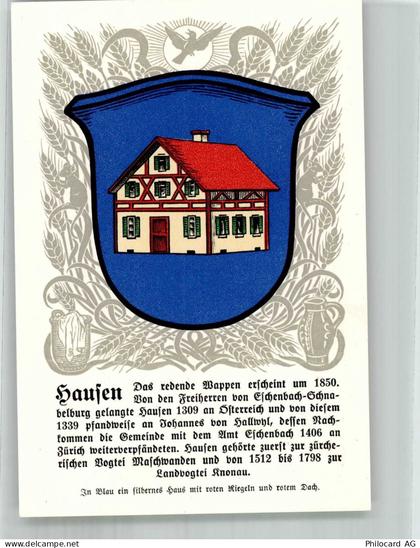 8915 Hausen am Albis Lithographie Wappen - 14021351