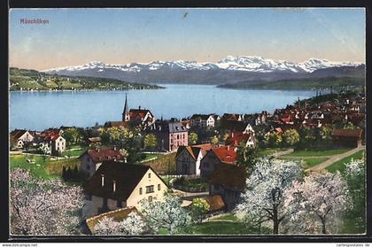 AK Rüschlikon, Ortsansicht mit Wasserblick aus der Vogelschau