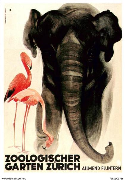 Fluntern Zuerich Zoologischer Garten Allmend Elefant Flamingo
