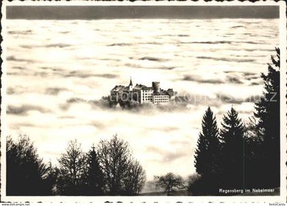 Regensberg Dielsdorf im Nebelmeer