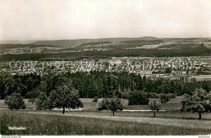 Wallisellen Panorama