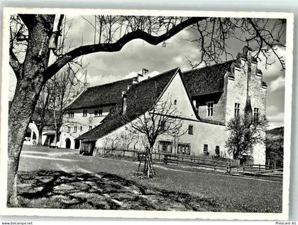 8608 Bubikon Foto AK Ritterhaus Johannitermuseum Foto Honegger - 39702749