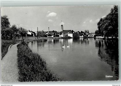 8953 Dietikon - Schwäne - 13109626