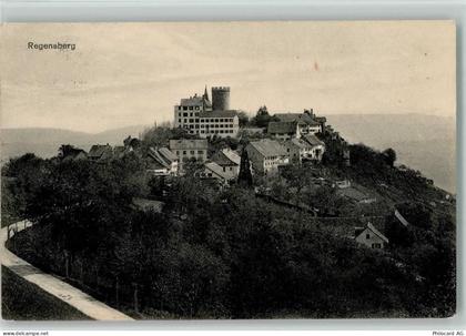 8158 Regensberg - 13113061