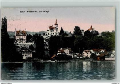8820 Wädenswil - 1908 Das Bürgli - 13112195