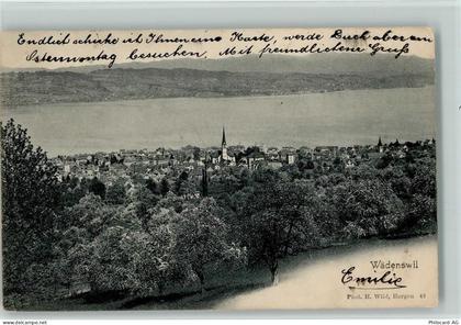8820 Wädenswil - 1913 Zürichsee - 13112191