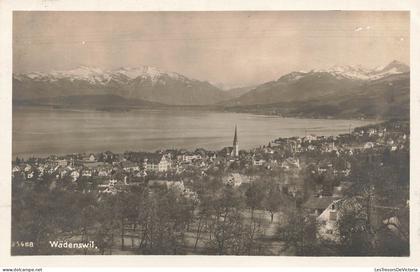 SUISSE - Wädenswil - Panorama - Carte Postale Ancienne