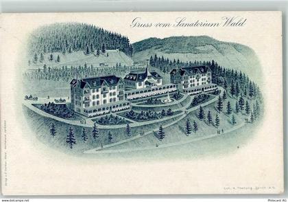 8636 Wald ZH 1900 Lithographie Sanatorium Wald Ort handschriftlich - 13449455