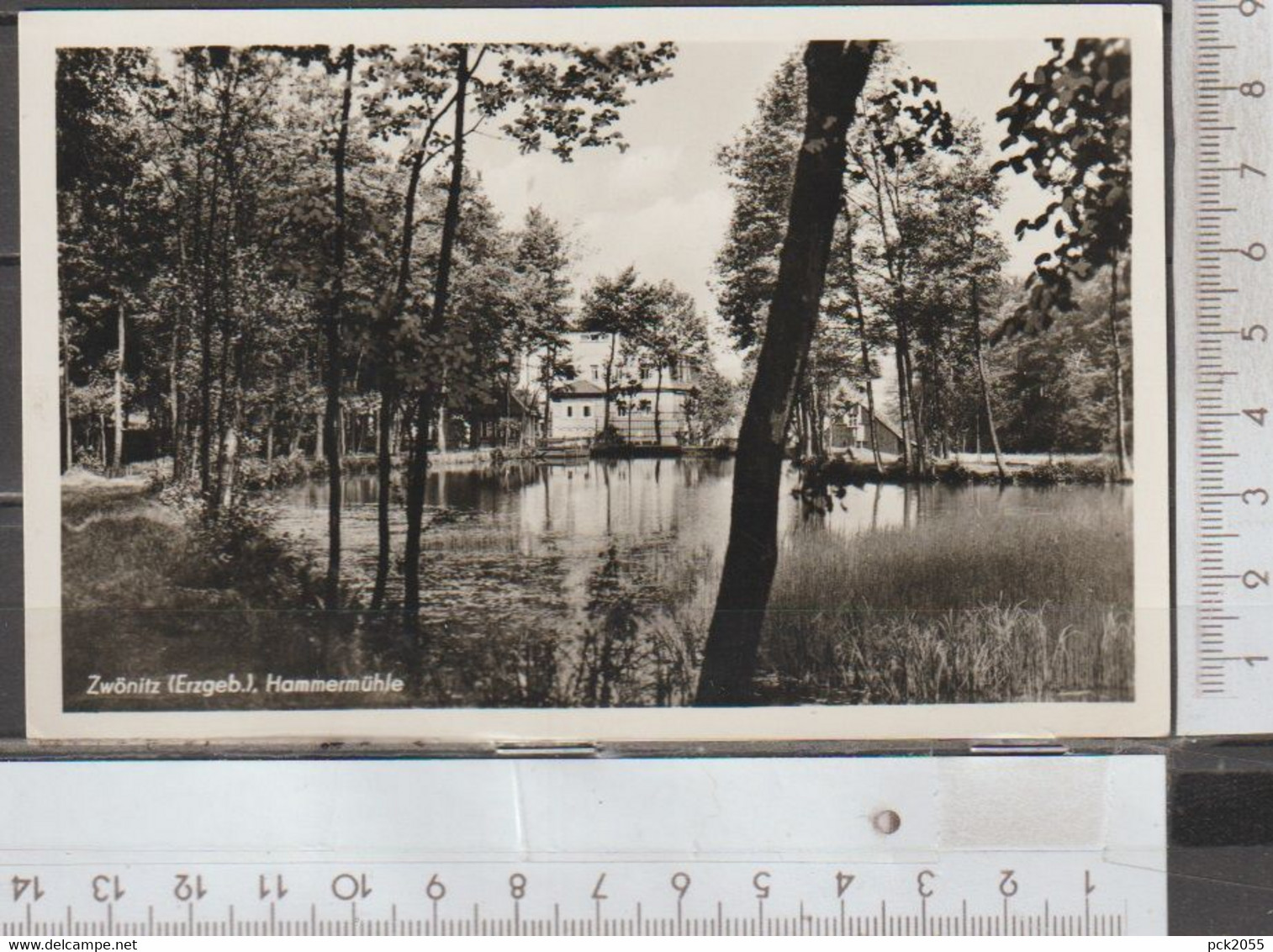 Zwönitz im Erzgebirge Hammermühle  nicht gelaufen ( AK 2169 )günstige Versandkosten